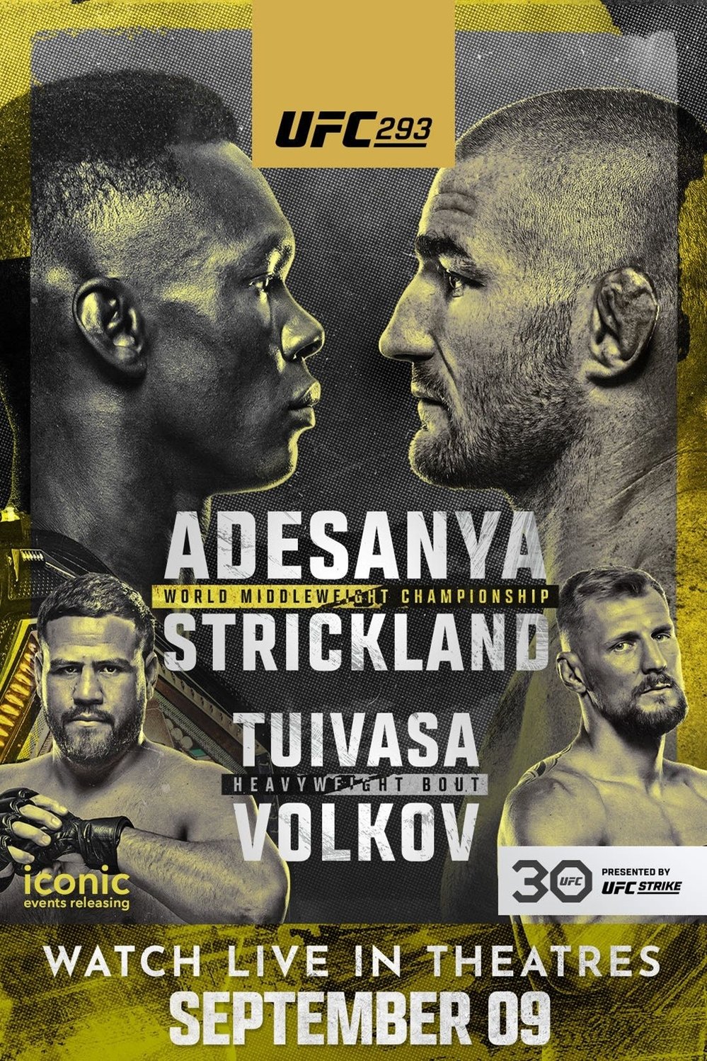 Poster of the movie UFC 293