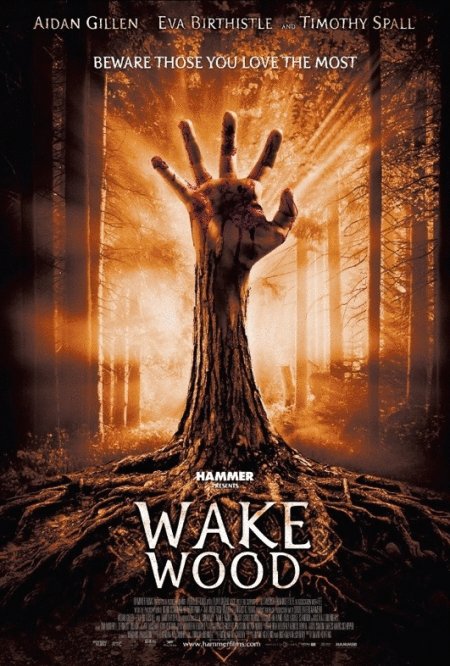 Poster of the movie Wake Wood