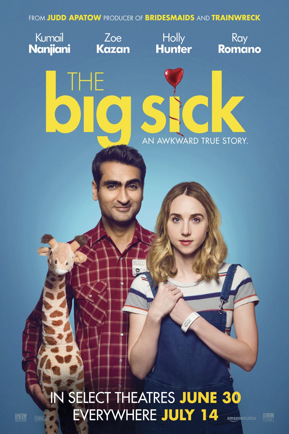 Poster of the movie The Big Sick